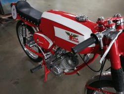 Moto Morini Corsarino 48cc 4 Takt LT551 | Transport | Auto's