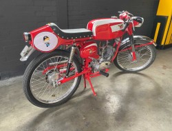 Moto Morini Corsarino 48cc 4 Takt LT551 | Transport | Auto's