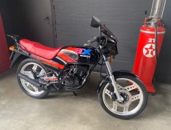 1985 Honda MBX 50 Regenboog VT491 | Transport | Bromfiets / Motor