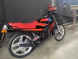 1985 Honda MBX 50 Regenboog VT491 | Transport | Bromfiets / Motor