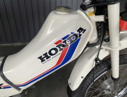 1982 Honda PX50 VT495 | Transport | Bromfiets / Motor