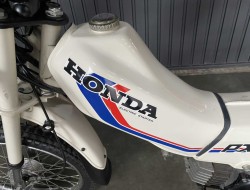 1982 Honda PX50 VT495 | Transport | Bromfiets / Motor