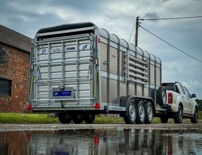 1 Ifor Williams TA510 16x6 (497x178x182cm) Veetrailer 3-asser VT638 | Aanhangwagen | Veetrailer